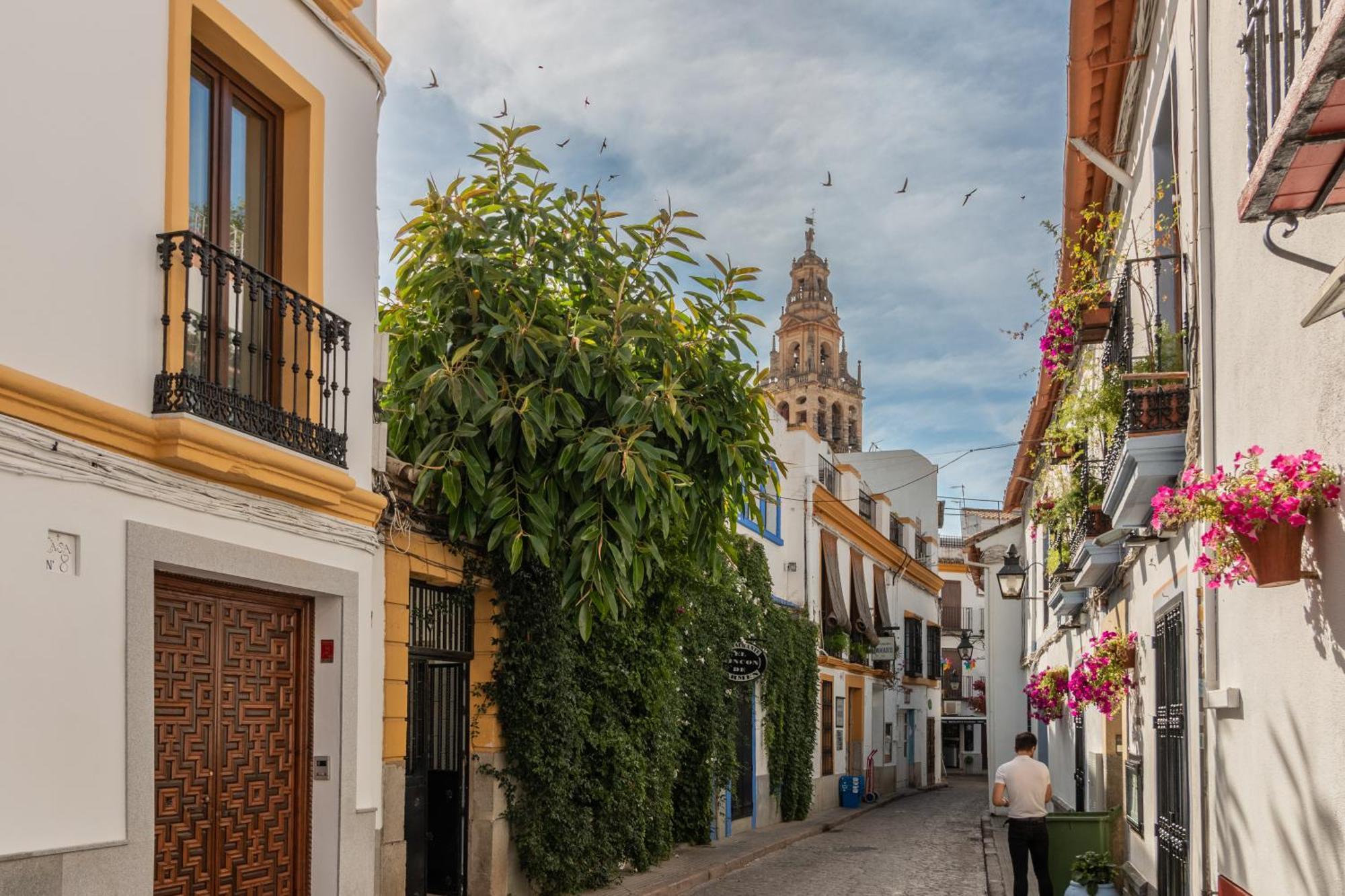 Luxury El Patio De La Juderia Daire Cordoba Dış mekan fotoğraf